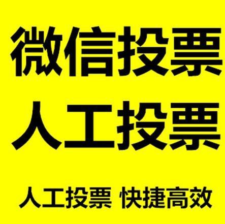 泰州市投票活动拉票能被查出来吗？如何操作能不被发现？